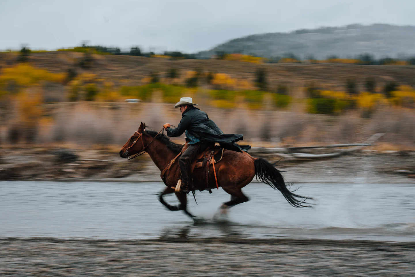 Authentic Spirit of the West