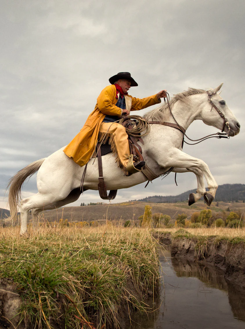 Blue Horse - Image 5