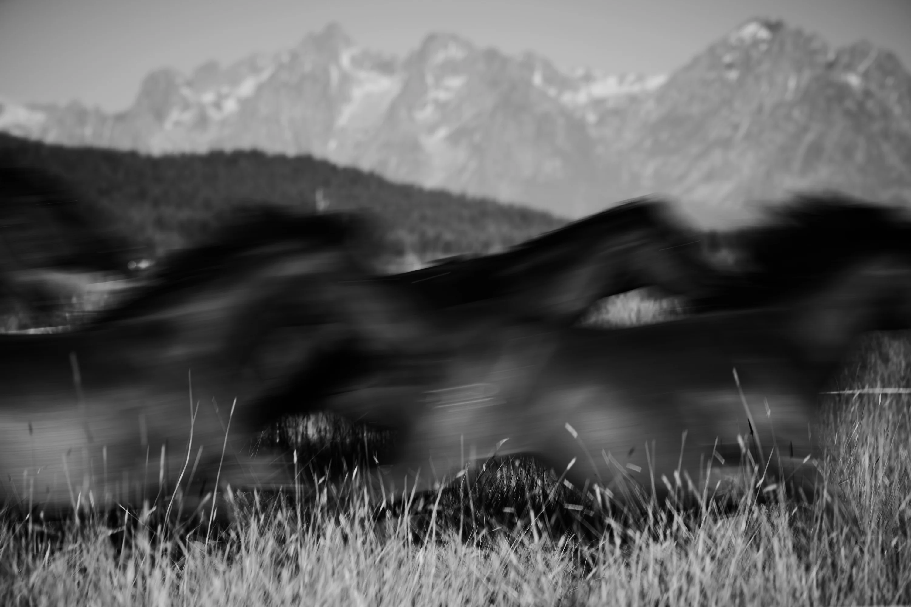Nick Fouquet x DCR Silver Teton Cowboy Hat - Image 9