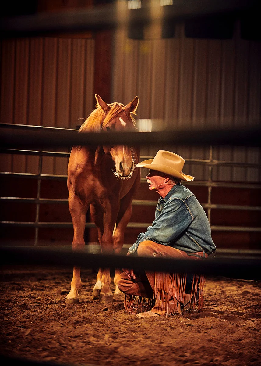Think Like A Horse - Image 3