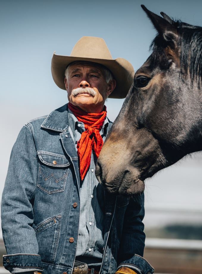 Think Like A Horse - Image 5