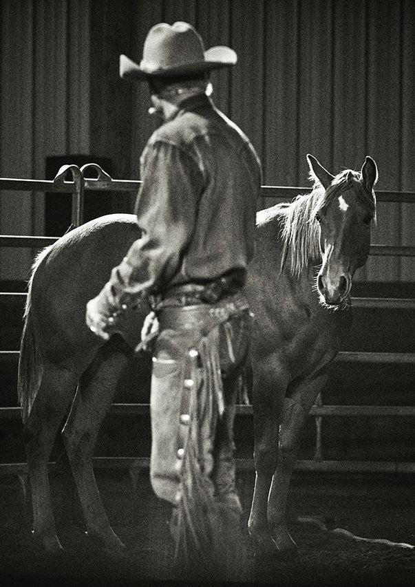 Think Like A Horse - Image 7