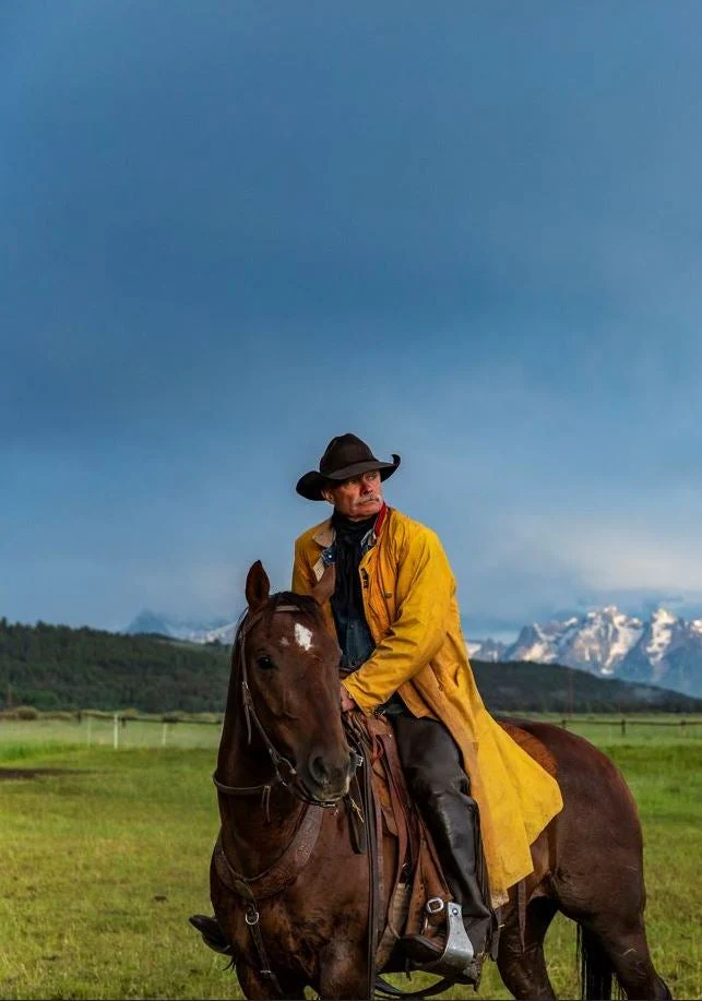 Think Like A Horse - Image 9