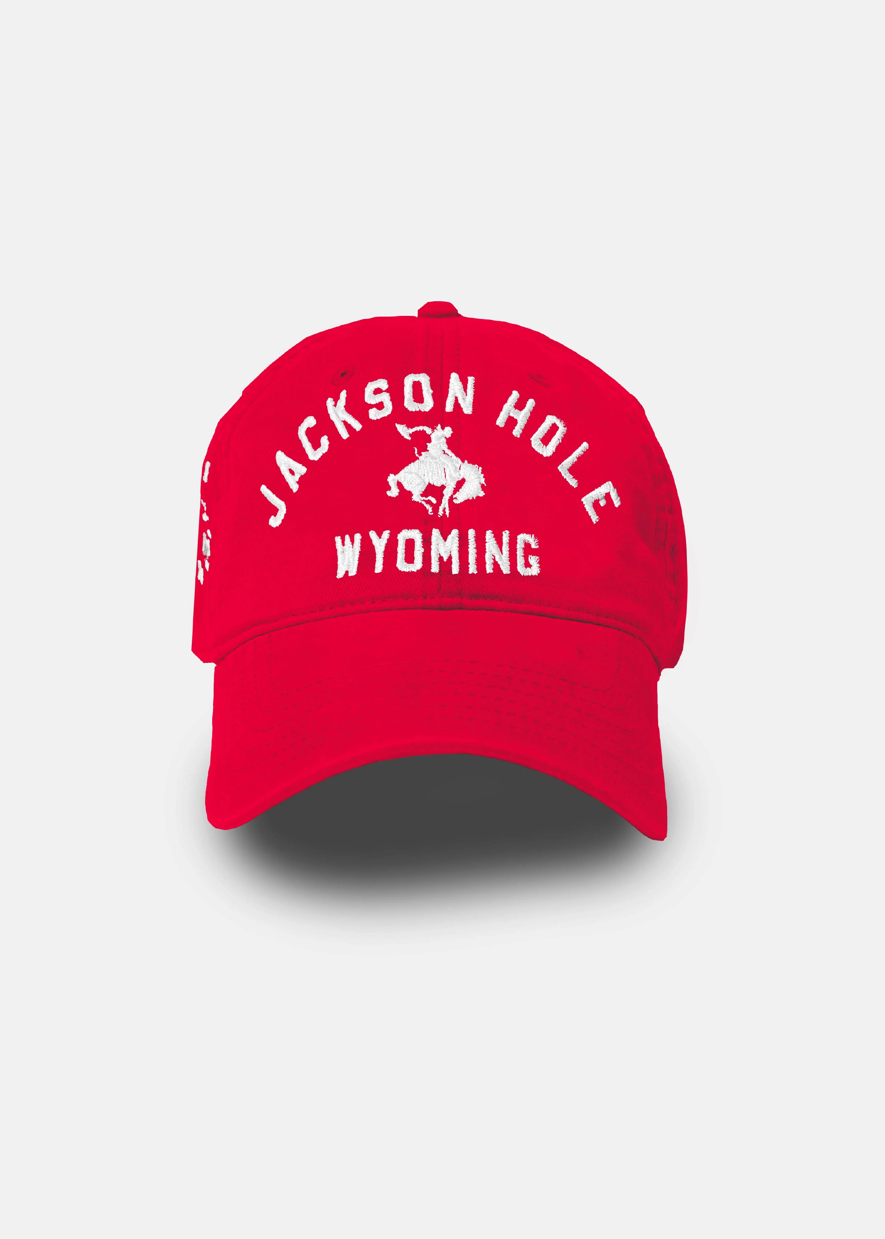 Dad Hats - Image 7