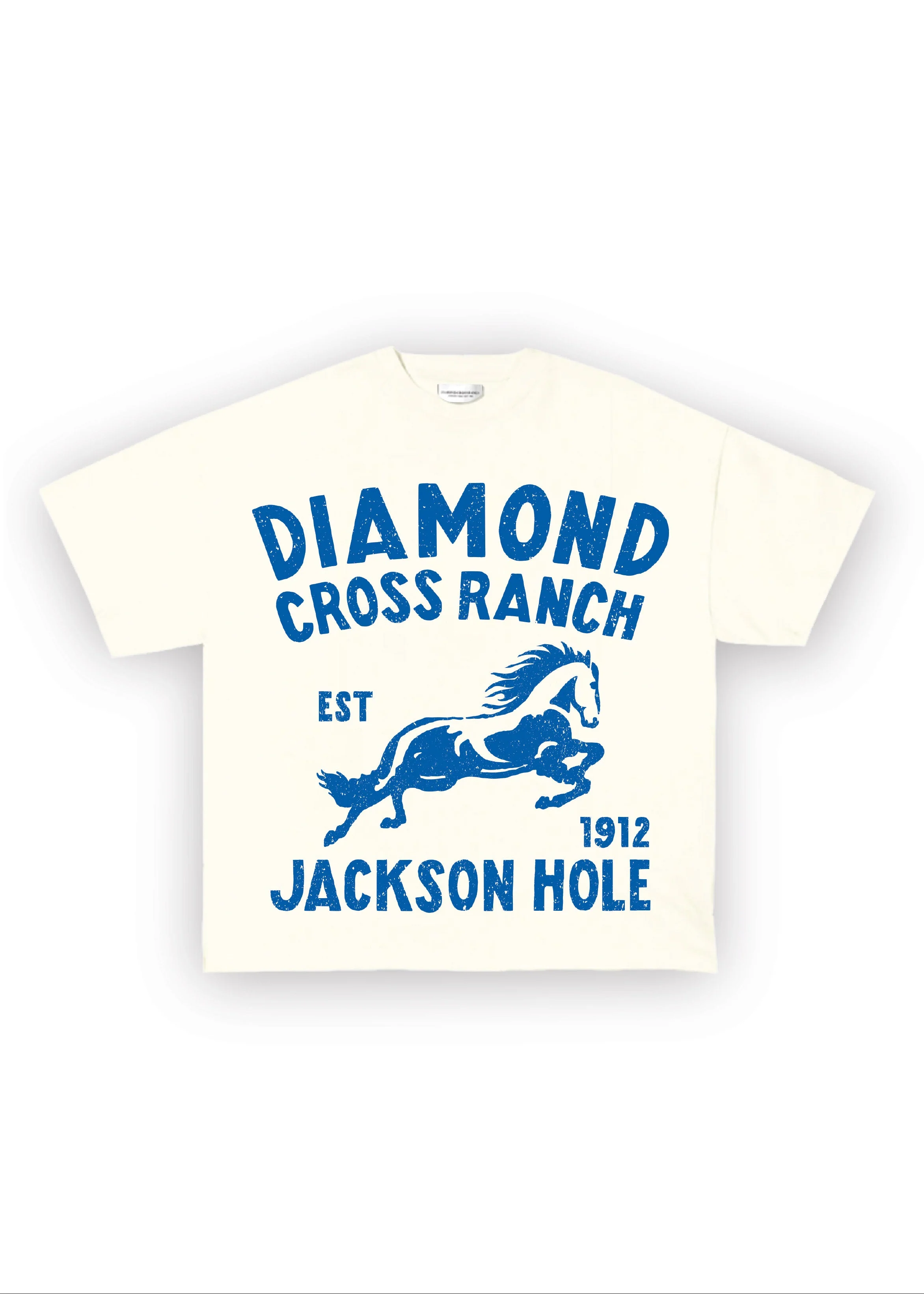 DCR Blue Horse - Image 3