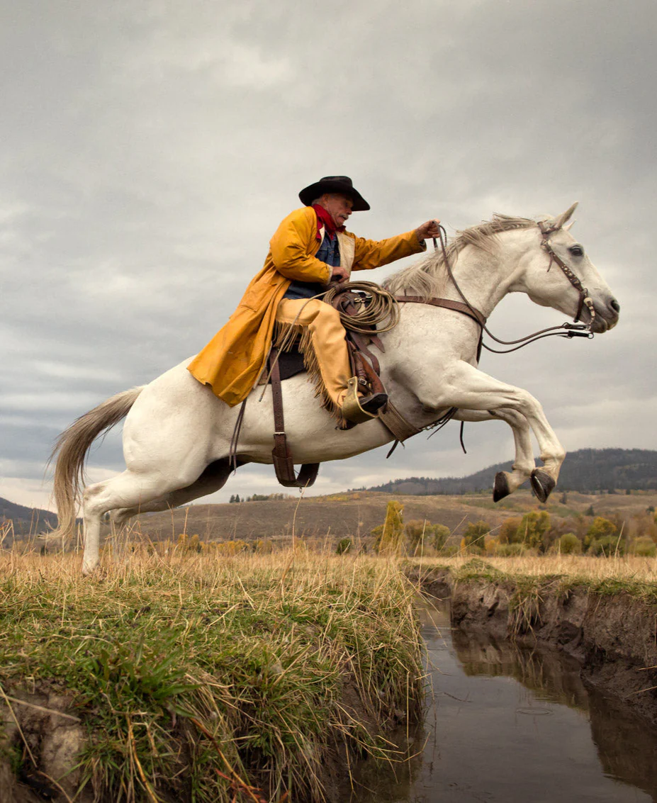 DCR Blue Horse - Image 6