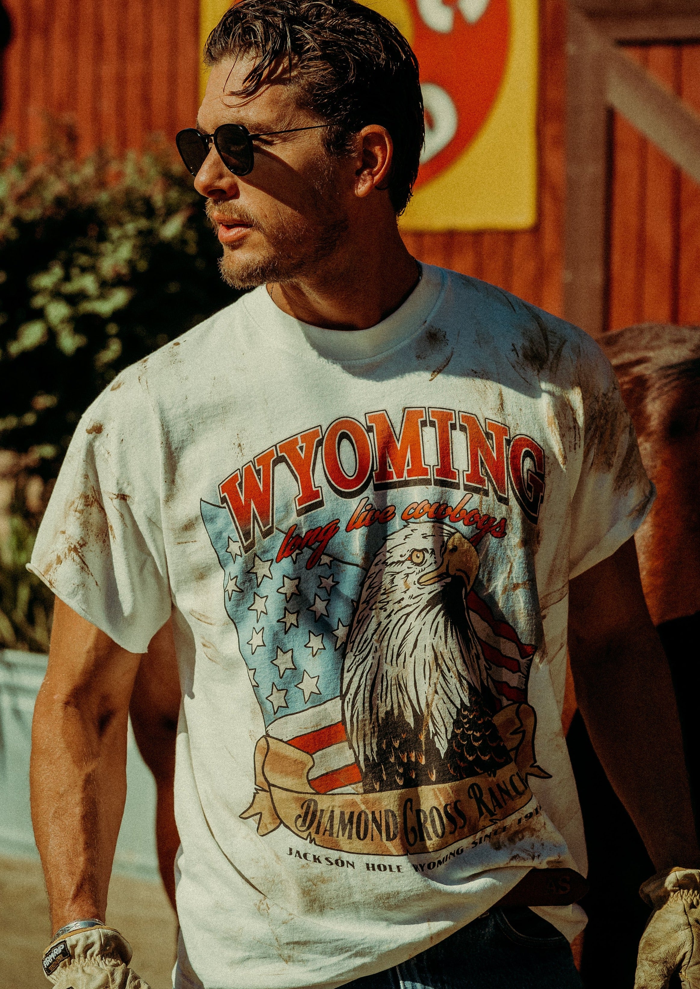 Wilderness Eagle - Image 3