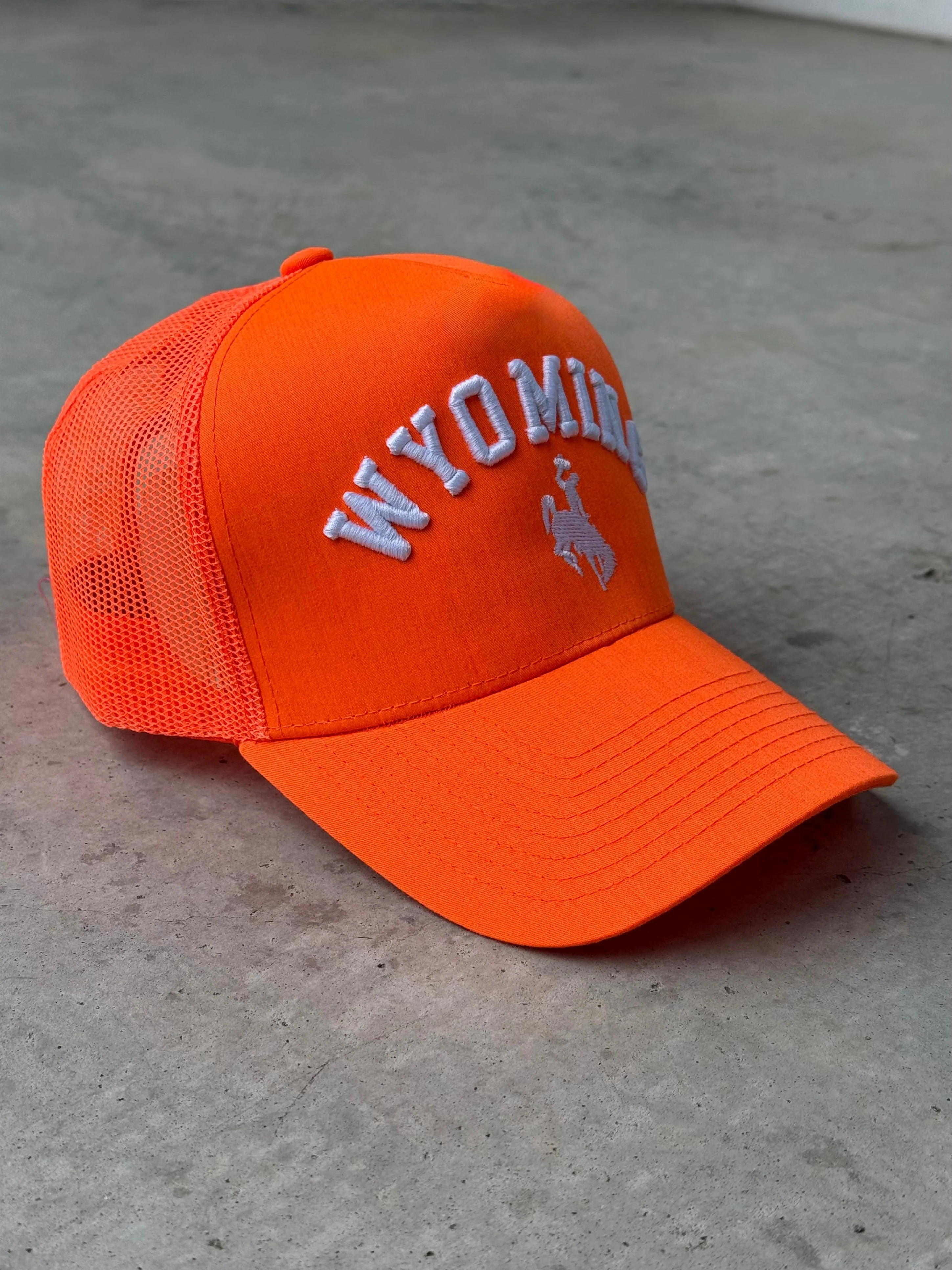 Wyoming Trucker - Image 4