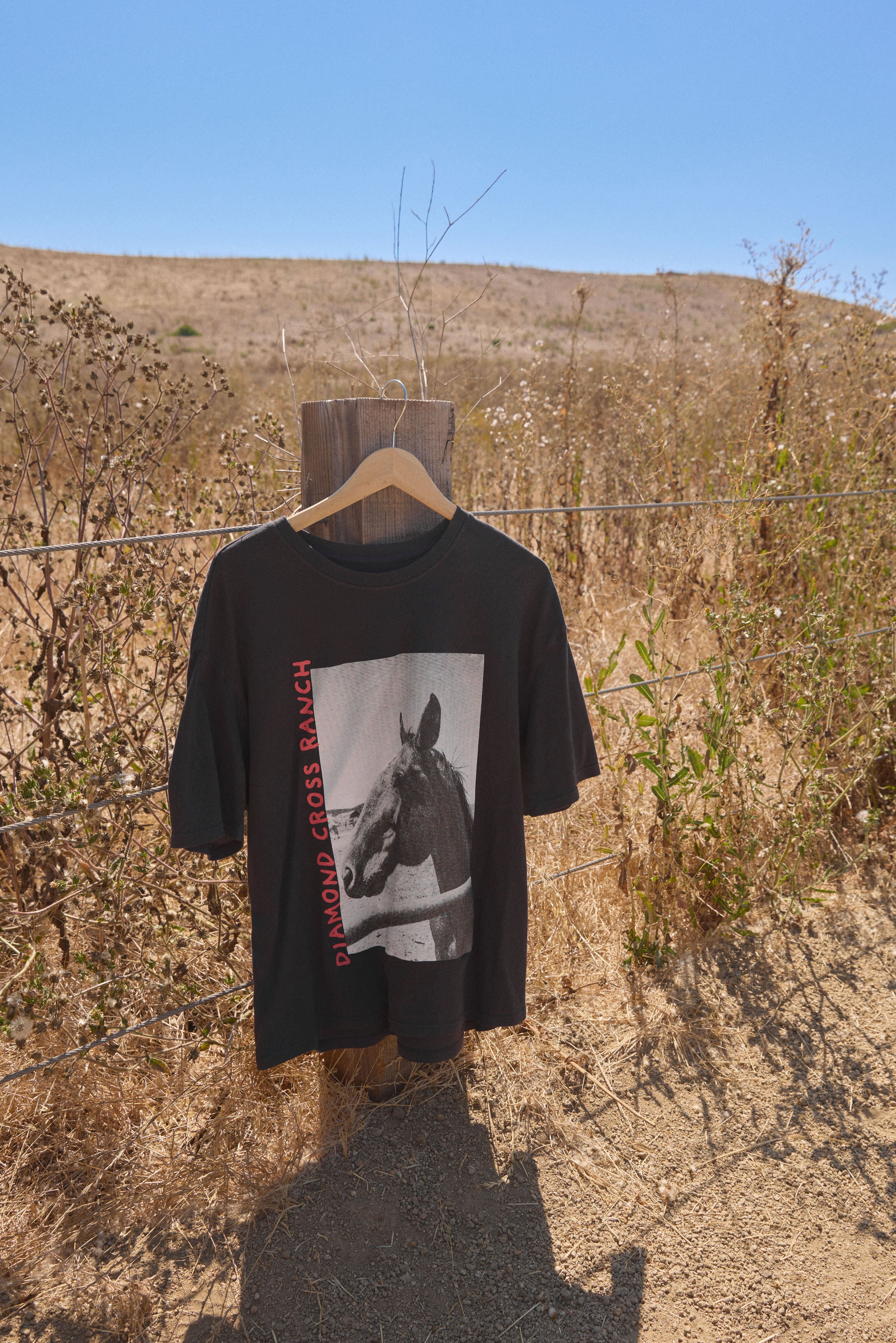 ZS x DCR Photo T - Image 14