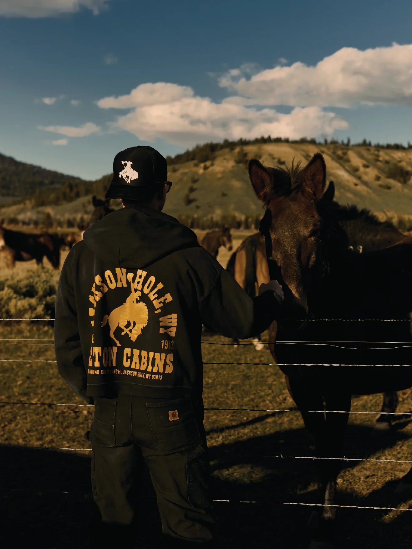 Sun Faded Zip Hoodies - Image 8